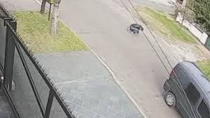 Video: la última imagen del repartidor asesinado por motochorros | Información General