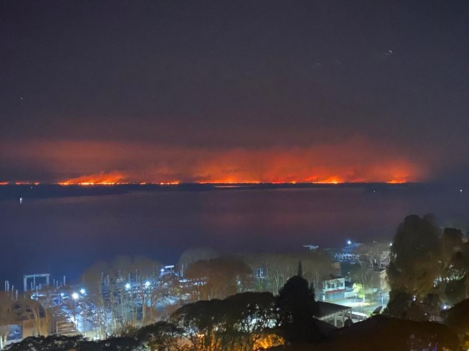 El Conicet alertó sobre los daños irreparables por las quemas en zona de islas | Noticias