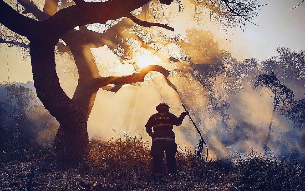 Incendios en islas y la postura del campo: "Falta de control, desidia y mala intención" | Noticias