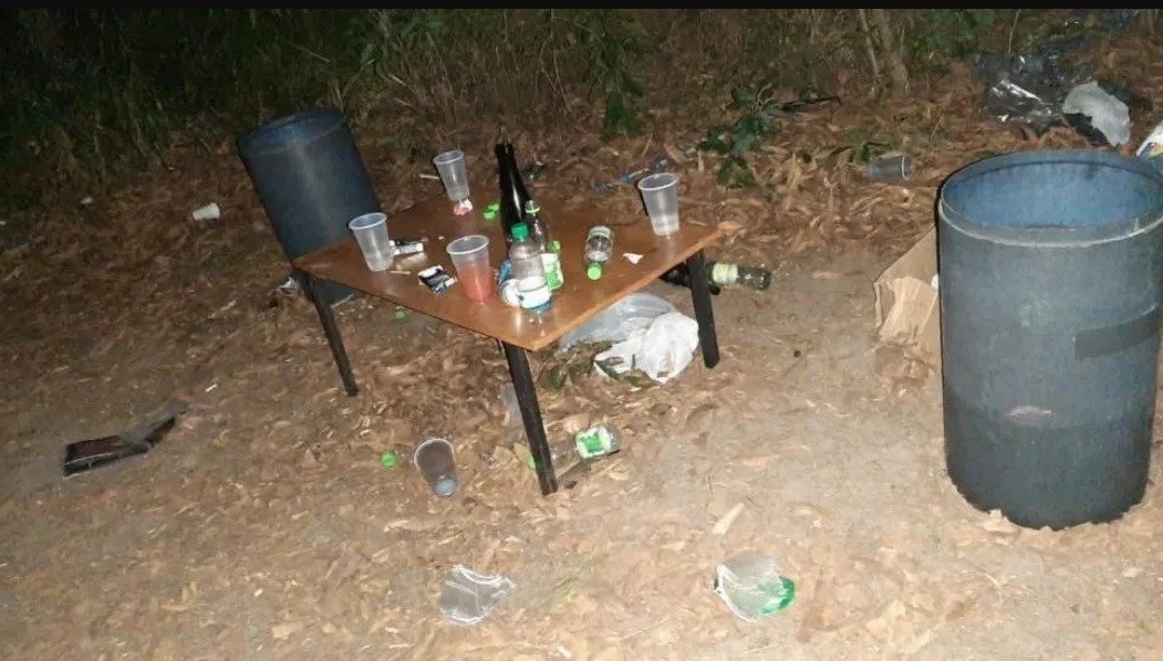 Imputaron a 303 personas por una fiesta electrónica clandestina: "Deben responder ante la ley" | Información General