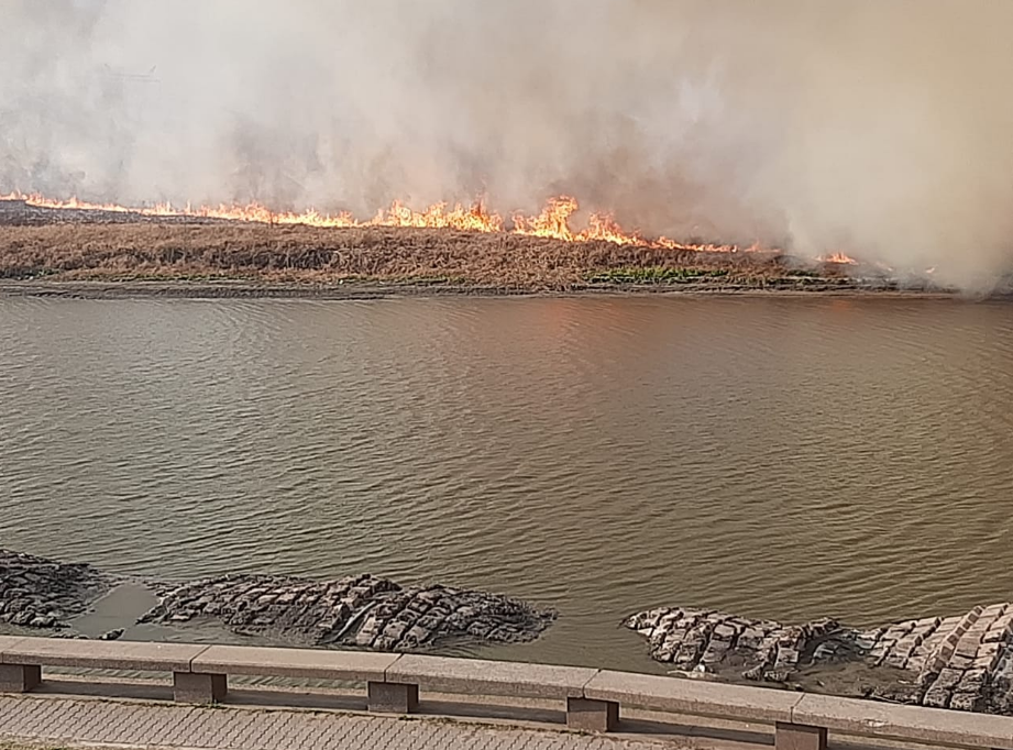 Incendios: "las líneas aéreas de energía que atraviesan el río Salado están fuera de servicio" | Noticias
