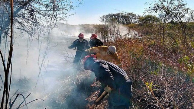 Las lluvias trajeron alivio al Delta y facilitaron la lucha contra los incendios en las islas | Información General