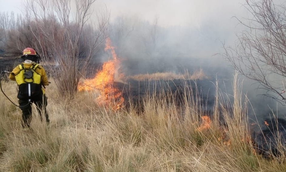 Coronda: un bombero hospitalizado tras un incendio de pastizales en la región | Noticias