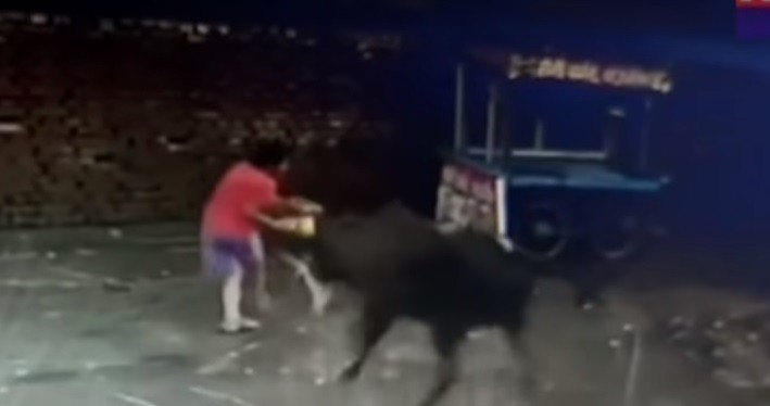 Video: a patadas, defendió a su hermanito cuando lo atacó un toro suelto en la calle | Redes