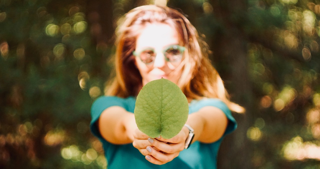 "Empleos verdes": continúan las capacitaciones de la Municipalidad | Noticias