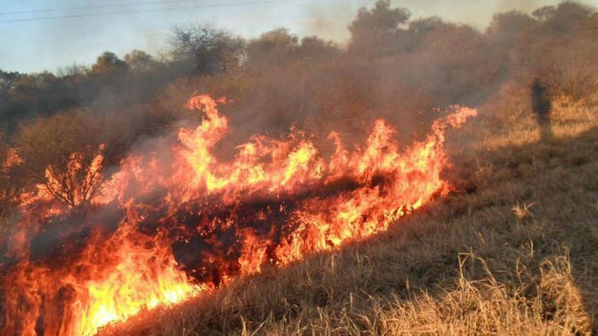 Se desactivaron operativos contra incendios en el norte por un caso de coronavirus | Noticias