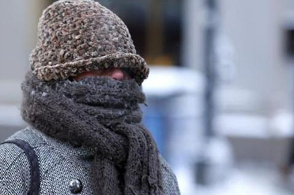 A prepararse: se anticipa una nueva ola polar esta semana | Información General