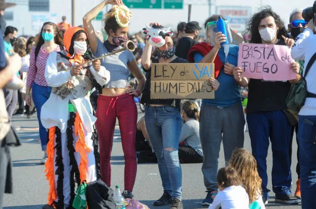 Se viene una "marcha viboreante" contra las quemas y a favor de la ley de humedales | Información General