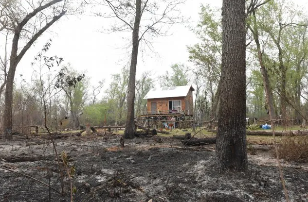 El delta arde: estiman que hay unas 200 mil hectáreas bajo cenizas | Información General