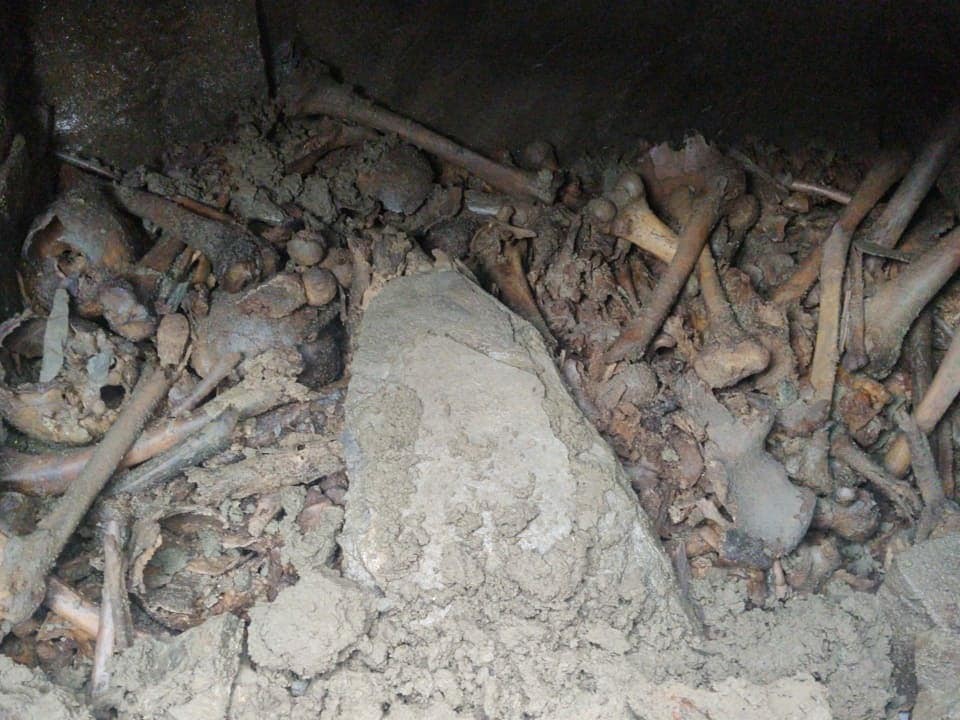 Fotos: realizaba arreglos en su jardín y encontró catacumbas con restos humanos | Redes