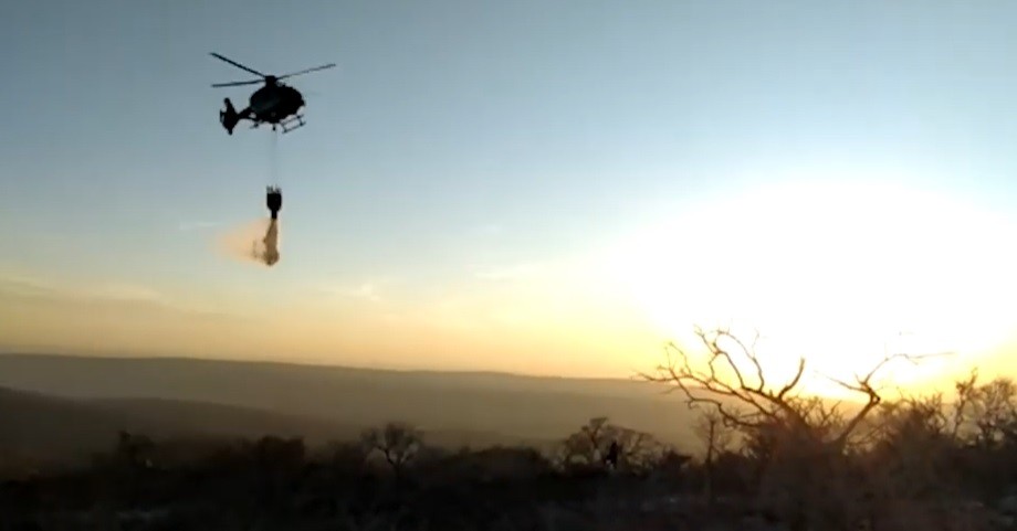 Todos los incendios fueron extinguidos o están bajo "guardia de cenizas" | Noticias