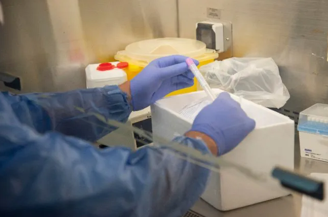 Los análisis de Covid-19 en laboratorios públicos pasaron de 100 a 1.200 por día | Noticias