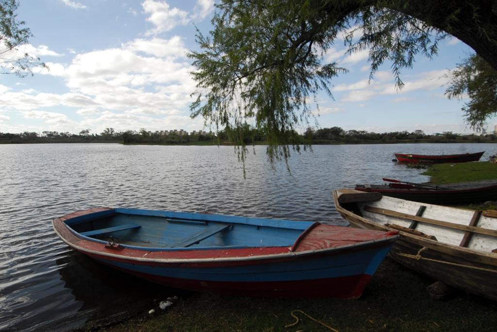 Alto Verde: 110 años y un camino hacia mejorar el espacio público con su propia gente | Información General