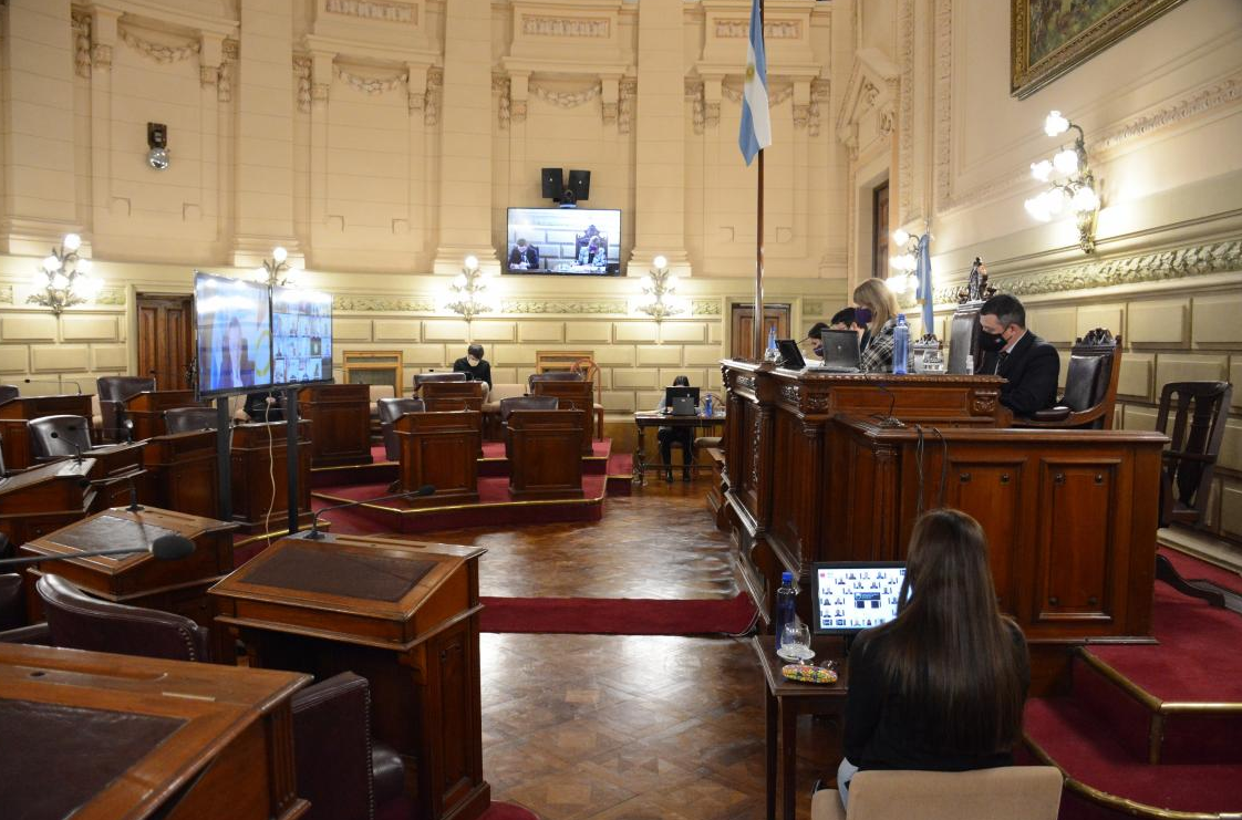 El Senado realizó una nueva sesión de manera virtual | Legislativas