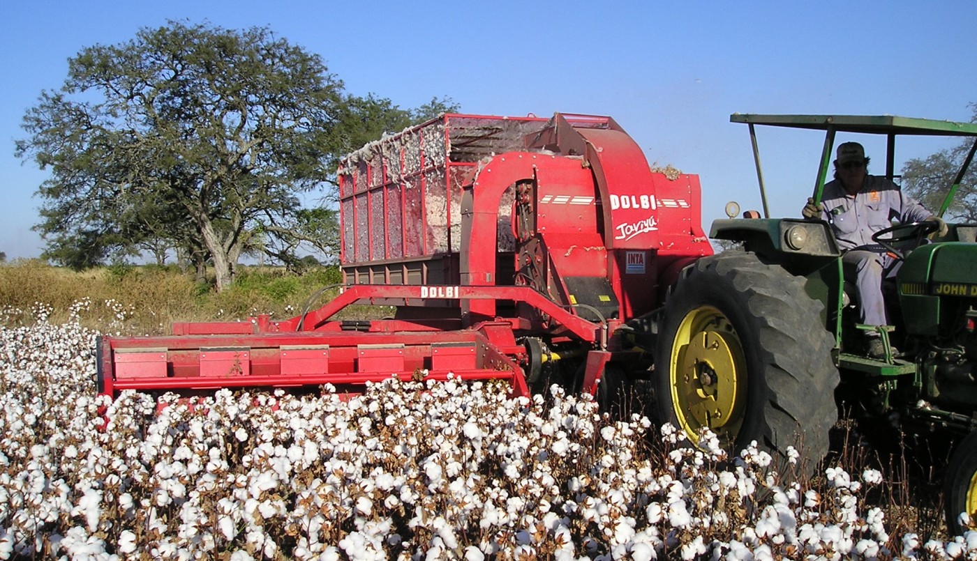 A través del Fondo Algodonero, 297 productores santafesinos reciben asistencia financiera | Noticias
