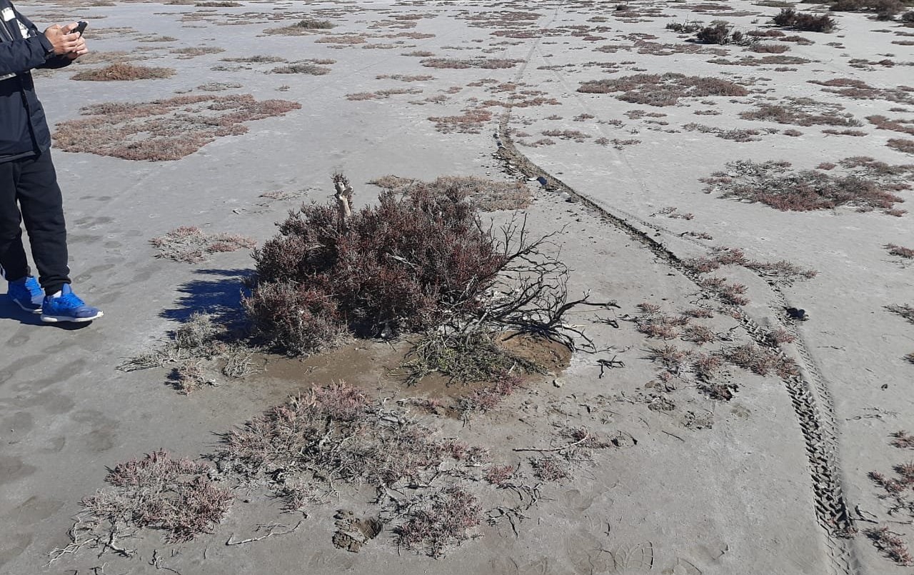 Inspeccionaron el lugar donde se halló la mochila que sería de Facundo Castro | Nacionales