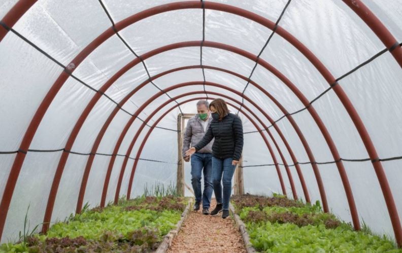 Río Negro: Construyen invernaderos solidarios para promover la soberanía alimentaria | Juntos y solidarios