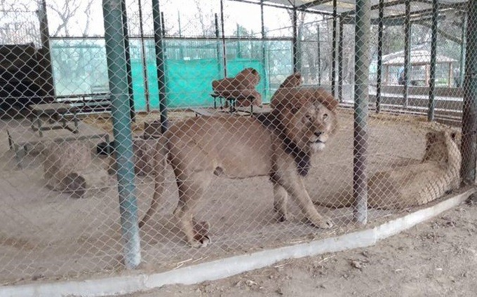 El gobierno nacional clausuró el Zoológico de Luján | Nacionales