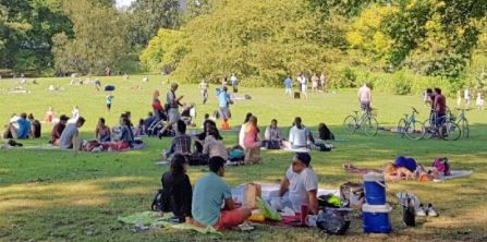 Primavera en casa: Córdoba propone un espectáculo virtual para festejar el Día del Estudiante | Nacionales