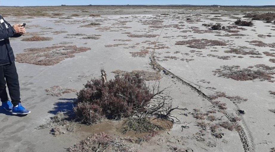 Caso Facundo Castro: para la querella la mochila "fue plantada" en ese lugar | Nacionales