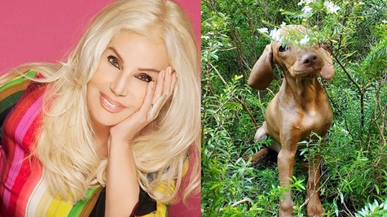 El tierno video de Susana con su perra Rita | Espectaculos