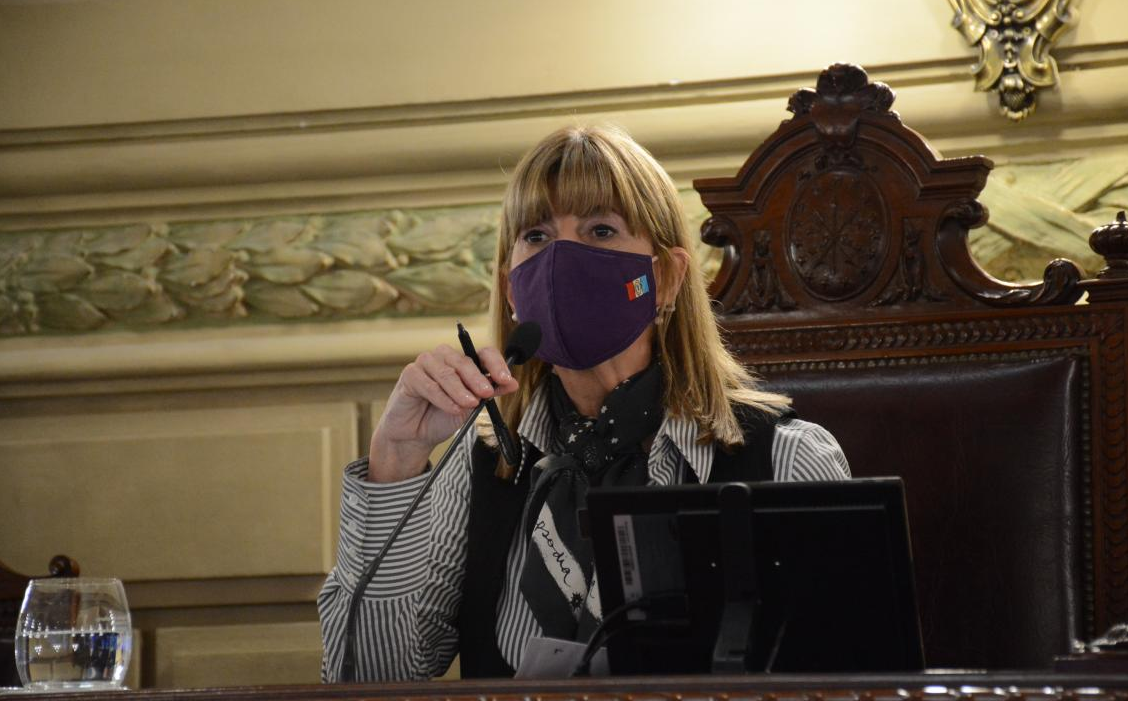 "Les pido que sigamos trabajando codo a codo": el mensaje de Alejandra Rodenas en la sesión del Senado | Legislativas