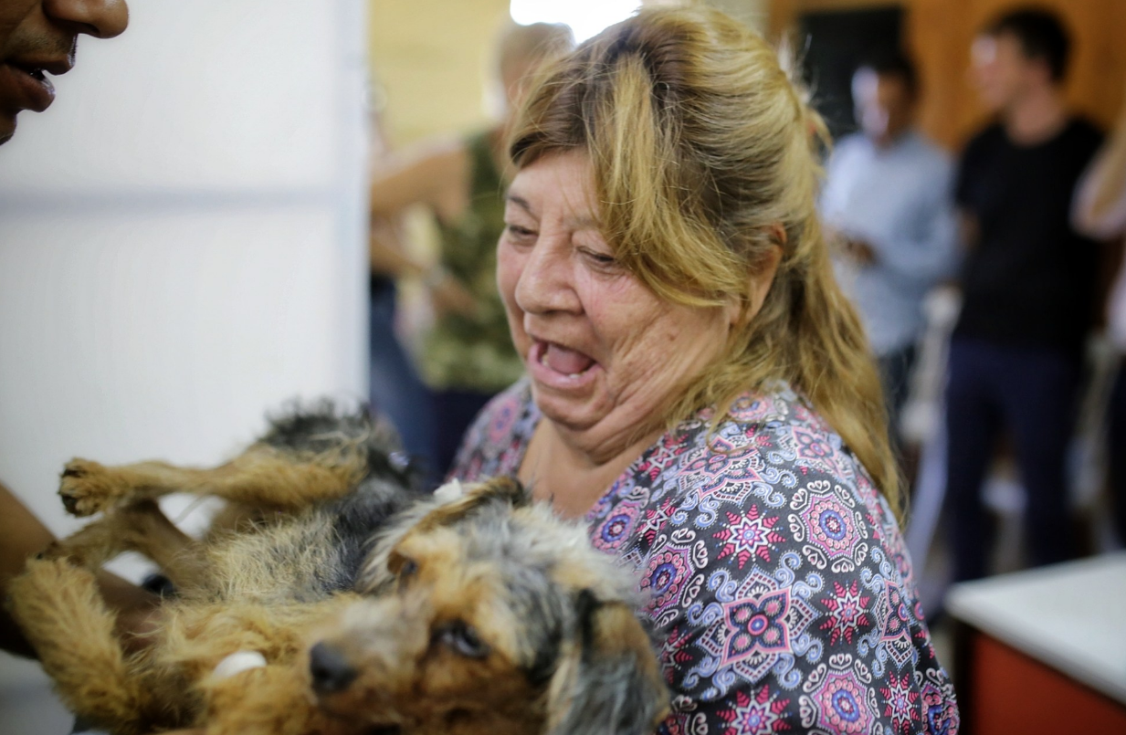 La Municipalidad realiza castraciones en Las Flores | Información General