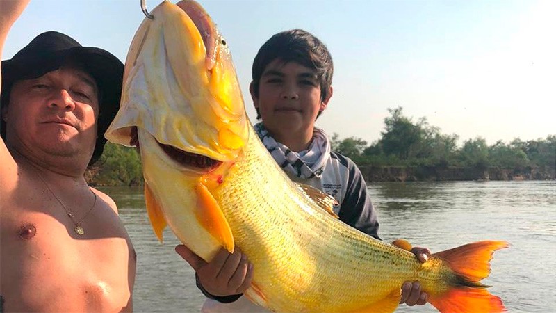 Video: Un nene de 12 años pescó un dorado gigante y lo devolvió al Paraná | Información General