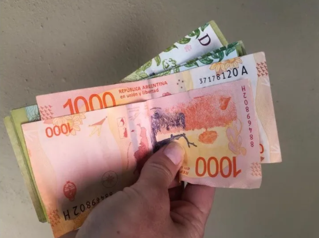 ¿IFE o Ingreso Básico? Conocé a quiénes incluiría la nueva ayuda económica | Nacionales