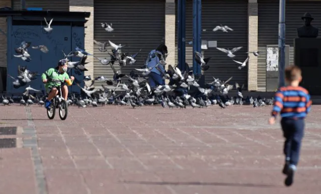 Preocupa la falta de actividad deportiva en los menores de 12 años | Información General