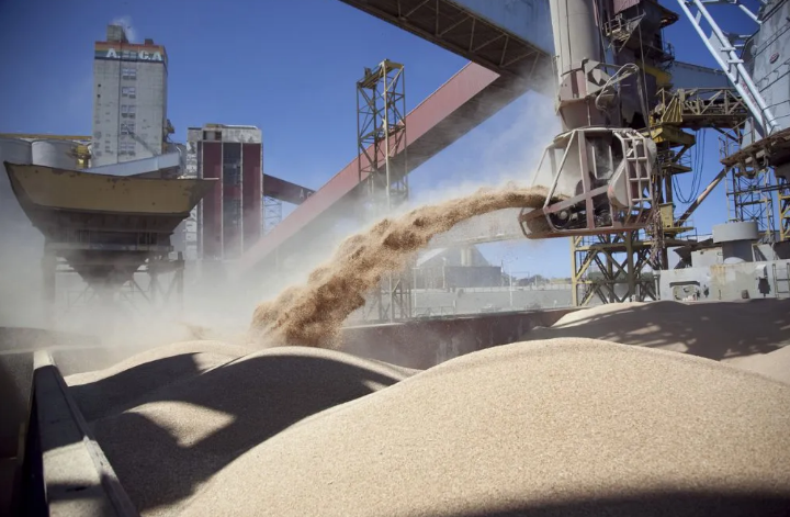 El Gobierno promulgará baja de retenciones a la soja por tres meses | Noticias