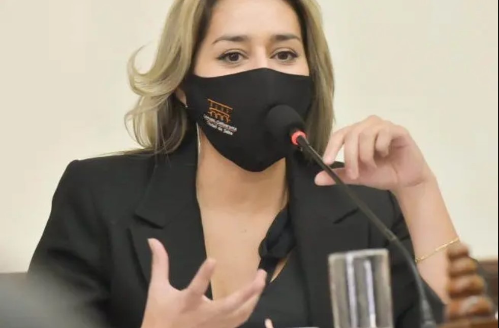 Salta: le pidieron a una concejala "que se tape un poco" en plena sesión | Nacionales