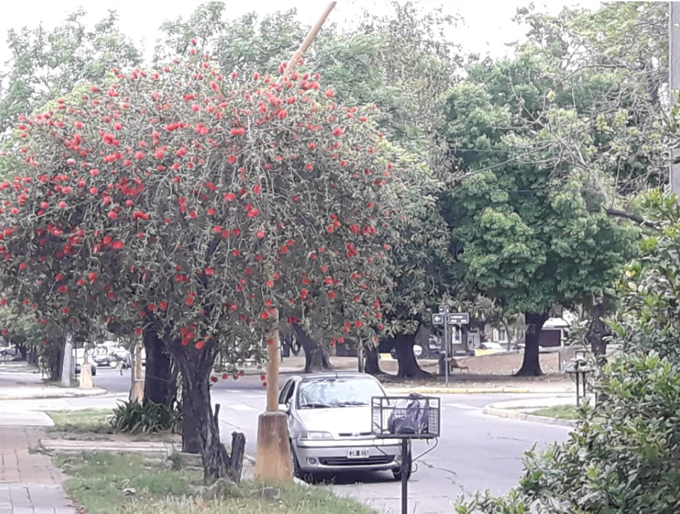 Se espera una jornada con buen tiempo y ascenso de la temperatura para este martes | Información General