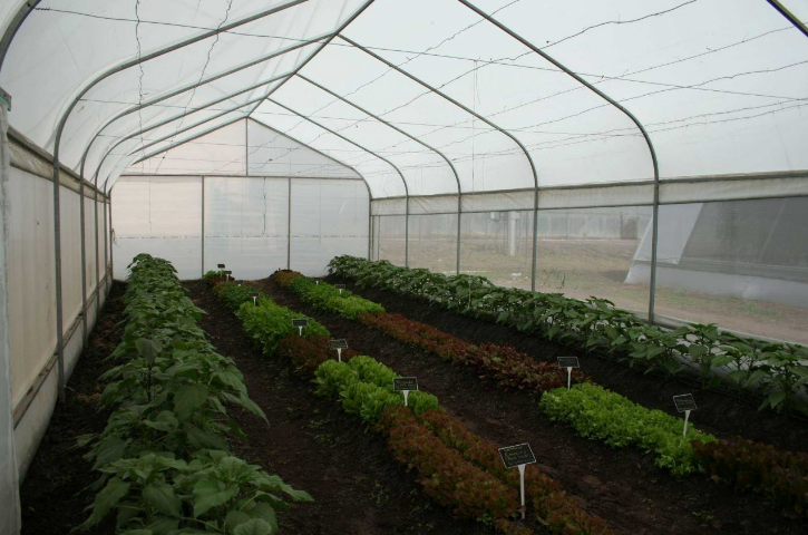 La localidad santafesina Paraje 29 ganó el concurso Pueblos Emprendedores | Información General