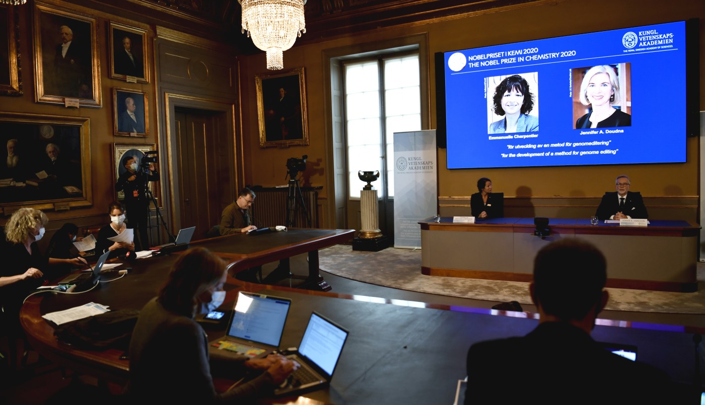 Otorgan el Nobel de Química a dos científicas por sus trabajos en edición genética | Noticias