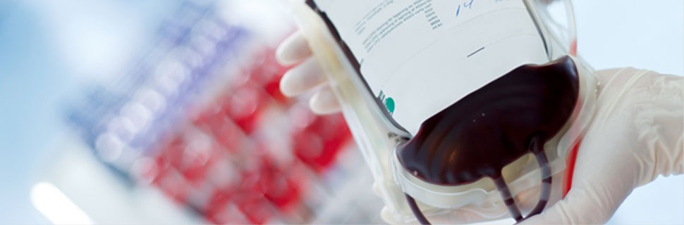 Llamado a la solidaridad: se necesitan 60 dadores de sangre | Juntos y solidarios