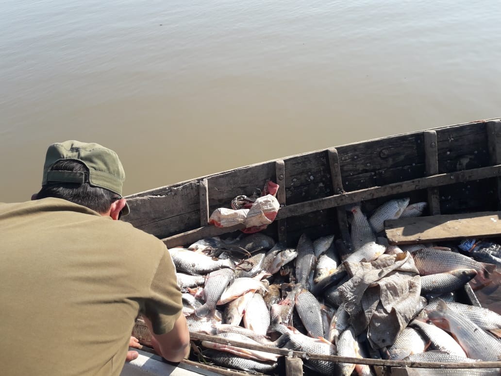 Villa Cañás: desbaratan una red de pesca ilegal por un audio de whatsapp | Noticias