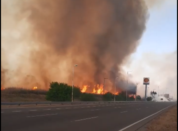 VIDEO: el momento en que el fuego y rodearon a una estación de servicio en Córdoba | Noticias