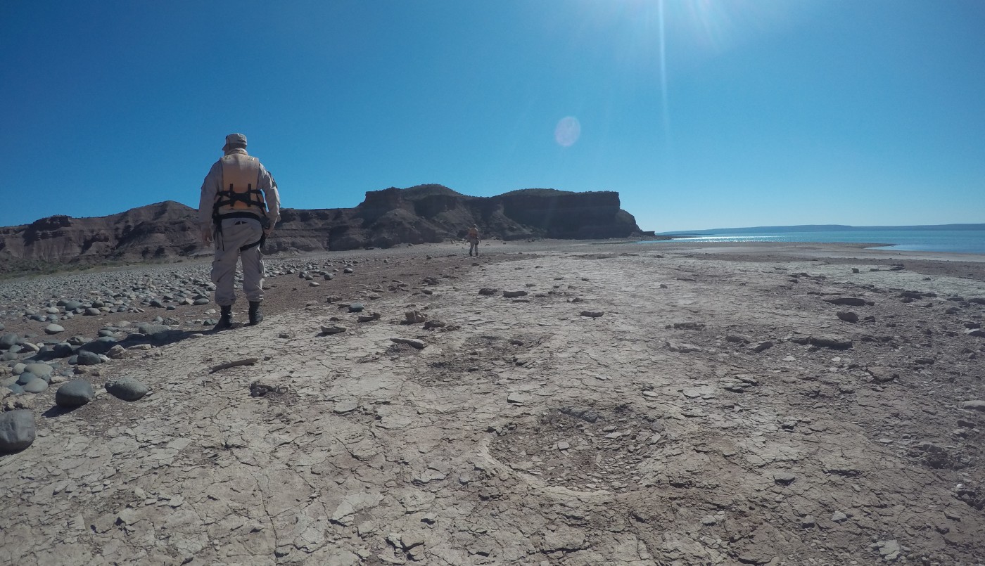 Impresionante hallazgo en Neuquén: Prefectura encontró huellas de dinosaurio | Nacionales