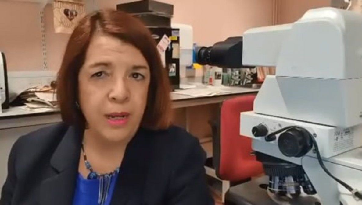 "Las pandemias duran tres años. A lo mejor, con la vacuna un año", dijo Marta Cohen | Información General