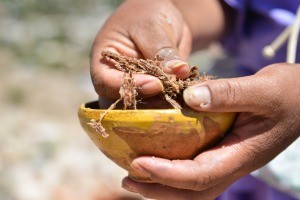 Día de las Mujeres Rurales: Destacan sus recetas como sostén de la riqueza cultural | Nacionales