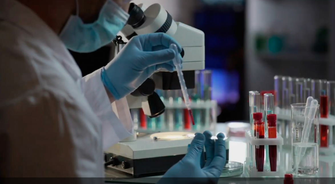 Santa Fe y la UNESCO trabajan para fortalecer las políticas que promuevan la ciencia y la tecnología | Información General