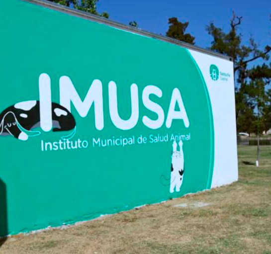 Cómo actuar frente a una situación de maltrato animal | Información General