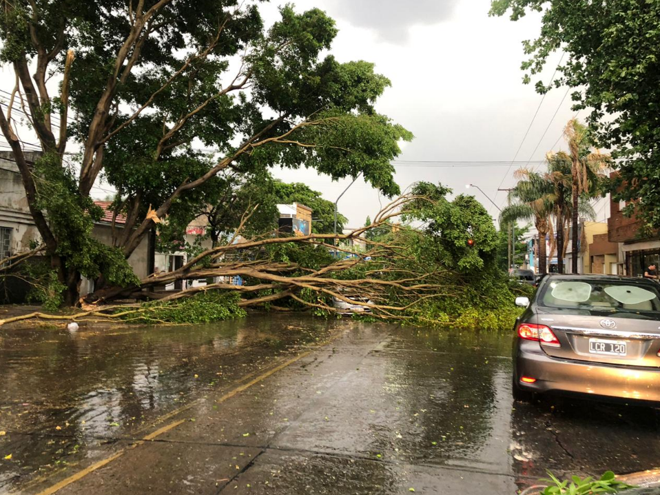 La tormenta generó destrozos en Santa Fe | Información General