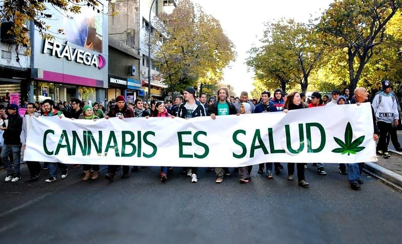 Convocan a una marcha virtual exigiendo el tratamiento del Autocultivo en el Senado provincial | Legislativas