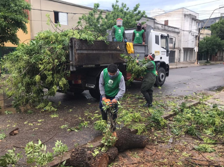Informe sobre la recolección de ramas y reparación de postes | Información General