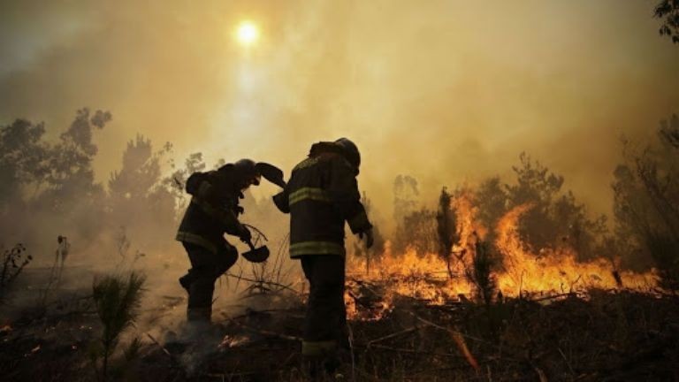 Incendios forestales: en Salta, Jujuy y Corrientes persisten “focos activos” | Noticias