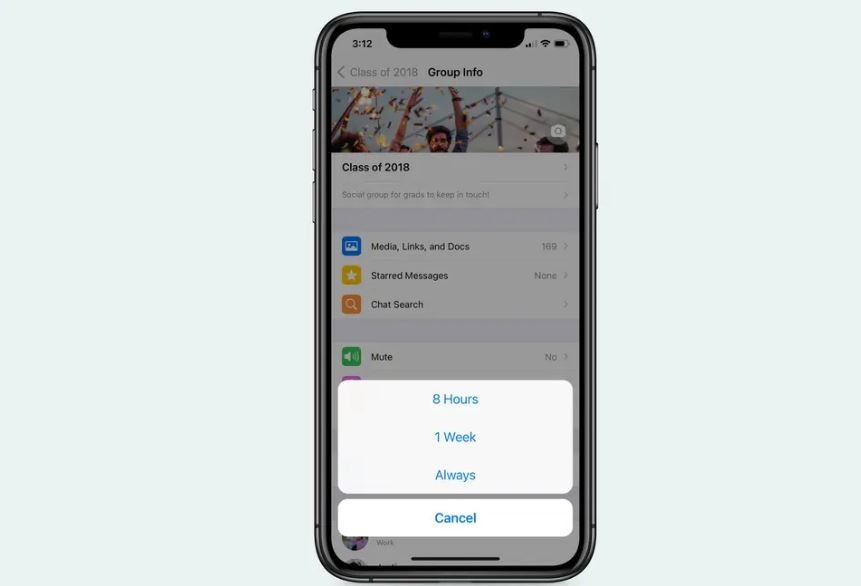 WhatsApp ya permite silenciar los grupos y chats para siempre: así se hace | Redes