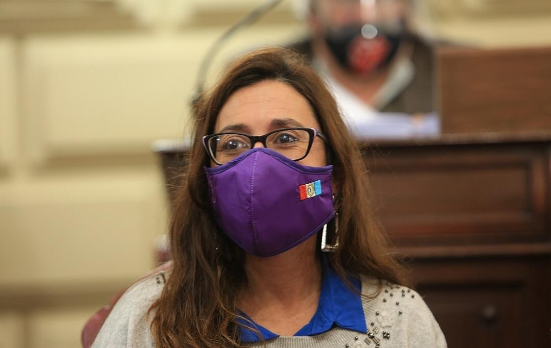 La diputada del Frente de Todos, Paola Bravo en contra de la Ley de ART: "la salud de los trabajadores no se negocia" | Legislativas