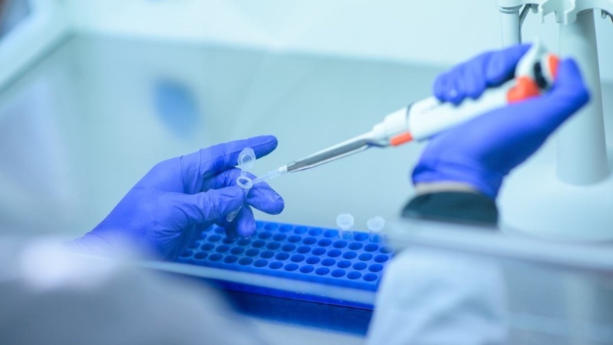 Realizaron tests para saber si las mascotas se contagian con Covid | Noticias